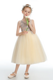 Sleeveless V Back Tulle Flower Girl Dresses APF0032